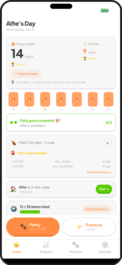 Today screen — potty streaks, feeding logs, and daily tracking