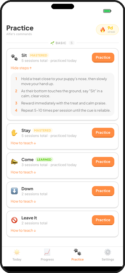 Practice screen — step-by-step training commands