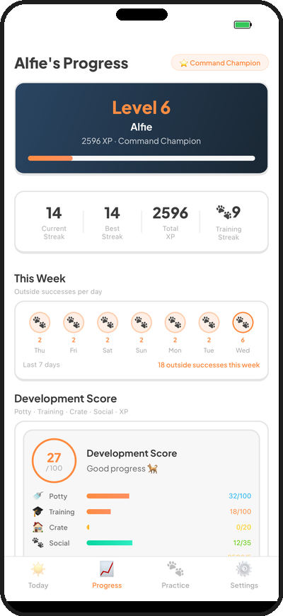 Progress screen — level, XP, and weekly activity chart